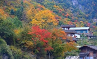 一起讀報-10月25日