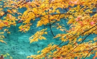一起讀報-11月1日