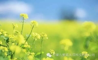 一起讀報-7月9日