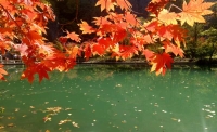 一起讀報(bào)-10月14日