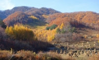 一起讀報(bào)-10月26日